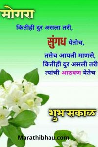 शुभ सकाळ शुभेच्छा