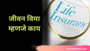 Life insurance information in marathi